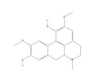 Isoboldine (CAS 3019-51-0) - chemical structure image