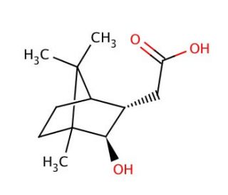 (&minus;)-Isoborneolacetic acid (CAS 81925-04-4) - chemical structure image