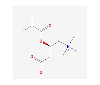 Isobutyryl-L-carnitine (CAS 25518-49-4) - chemical structure image