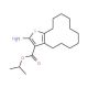 Isopropyl 2-amino-4,5,6,7,8,9,10,11,12,13-decahydrocyclododeca[b]thiophene-3-carboxylate - chemical structure image