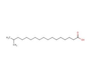 Isostearic acid (CAS 2724-58-5) - chemical structure image