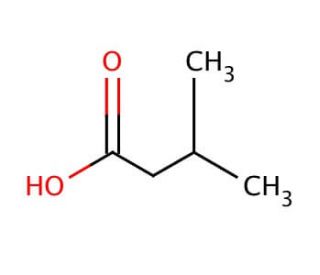 Isovaleric acid | CAS 503-74-2 | SCBT - Santa Cruz Biotechnology