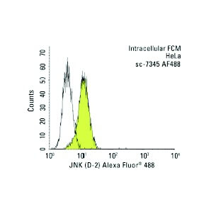 JNK Antibody (D-2) | SCBT - Santa Cruz Biotechnology