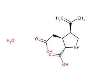Kainic acid monohydrate (CAS 58002-62-3) - chemical structure image