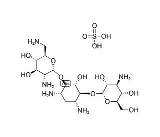 Kanamycin B sulfate