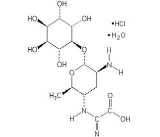 Kasugamycin Hydrochloride Monohydrate (CAS 200132-83-8) - chemical structure image