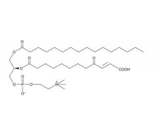 KDdiA-PC (CAS 439904-34-4) - chemical structure image