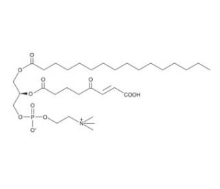 KOdiA-PC (CAS 439904-33-3) - chemical structure image