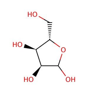 L-(+)-Ribose | CAS 24259-59-4 | SCBT - Santa Cruz Biotechnology