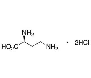 L2,4Diaminobutyric Acid, Dihydrochloride CAS 1883096 SCBT