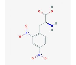 L-2,4-Dinitrophenylalanine (CAS 49607-21-8) - chemical structure image