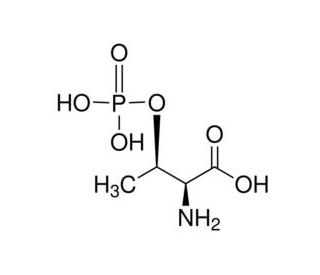L-2-Amino-3-hydroxybutanoic acid 3-phosphate (CAS 1114-81-4) - chemical structure image