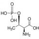 L-2-Amino-3-hydroxybutanoic acid 3-phosphate (CAS 1114-81-4) - chemical structure image