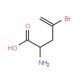 L-2-Amino-4-bromo-4-pentenoic acid (CAS 151144-96-6) - chemical structure image