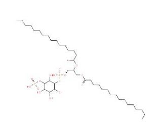L-&alpha;-Phosphatidyl-D-myo-inositol 3-monophosphate, dipalmitoyl - chemical structure image