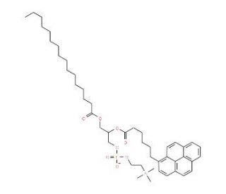 L-&alpha;-Phosphatidylcholine &beta;-(pyren-1-yl)hexanoyl-&copy;-palmitoyl (CAS 103625-33-8) - chemical structure image