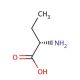 L-Aminobutyric Acid (CAS 1492-24-6) - chemical structure image