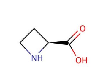 L-Azetidine-2-carboxylic acid (CAS 2133-34-8) - chemical structure image