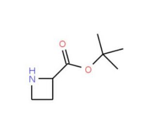 L-Azetidine-2-carboxylic Acid t-Butyl Ester (CAS 129740-14-3) - chemical structure image
