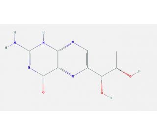 LBiopterin CAS 22150761 SCBT Santa Cruz Biotechnology
