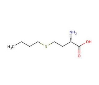 L-Buthionine (CAS 13073-21-7) - chemical structure image