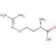 L-Canavanine (CAS 543-38-4) - chemical structure image