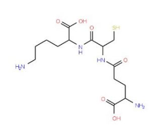 L-&gamma;-Glutamyl-L-cysteinyl-L-lysine-13C5,15N - chemical structure image