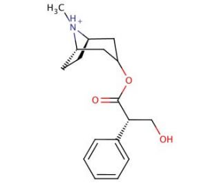 L-Hyoscyamine (CAS 101-31-5) - chemical structure image