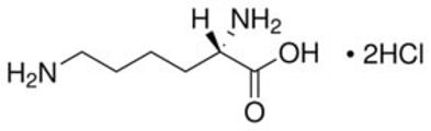 L-Lysine dihydrochloride | CAS 657-26-1 | SCBT - Santa Cruz