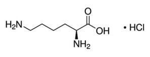 L-Lysine hydrochloride | CAS 657-27-2 | SCBT - Santa Cruz Biotechnology