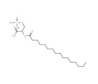 L-NASPA (CAS 155915-46-1) - chemical structure image