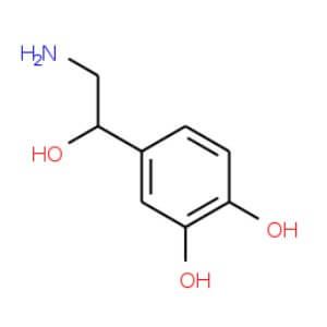 L-Noradrenaline | CAS 51-41-2 | SCBT - Santa Cruz Biotechnology