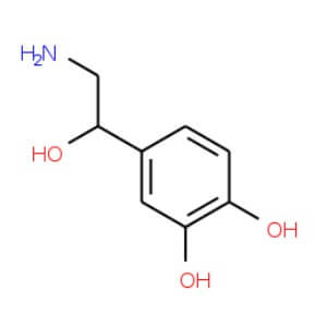 L-Noradrenaline | CAS 51-41-2 | SCBT - Santa Cruz Biotechnology