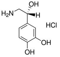 L-Norepinephrine hydrochloride | CAS 329-56-6 | SCBT - Santa Cruz