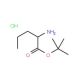 L-Norvaline t-butyl ester hydrochloride (CAS 119483-47-5) - chemical structure image