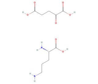 L-Ornithine-&alpha;-ketoglutarate (CAS 5191-97-9) - chemical structure image