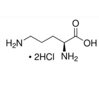 L-Ornithine dihydrochloride (CAS 6211-16-1) - chemical structure image