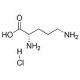 L-Ornithine Hydrochloride (CAS 3184-13-2) - chemical structure image