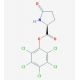 L-Pyroglutamic acid pentachlorophenyl ester (CAS 28990-85-4) - chemical structure image