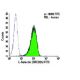 L-Selectin/CD62L/SELL Antibody (DREG55) - Flow Cytometry - Image 6101