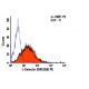 L-Selectin/CD62L/SELL Antibody (DREG56) - Flow Cytometry - Image 6096