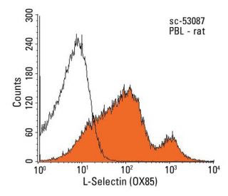 L-Selectin/CD62L/SELL Antibody (OX85) - Flow Cytometry - Image 13788