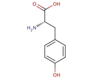 L-Tyrosine (CAS 60-18-4) - chemical structure image