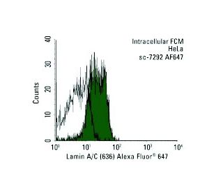 Acta Societatis Scientiarum Fennicae. Science. 74 A. Luther. Vi Vz prz mpt  api al. aps aei V3 apa apla qu am Fig. 66. Rana esculenta. Kiefermuskeln  nach Entfernung des A. m.