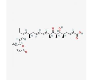 Leptomycin B | CAS 87081-35-4 | SCBT - Santa Cruz Biotechnology