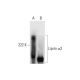 Liprin α2 Antibody (H-2) - Western Blotting - Image 294457