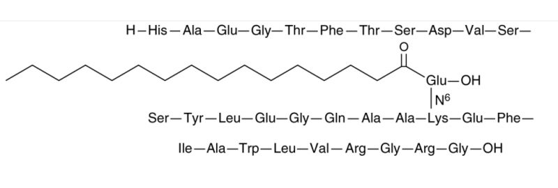 Liraglutide | CAS 204656-20-2 | SCBT - Santa Cruz Biotechnology