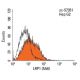 This polyclonal antibody has been discontinued. See our recommended <a href="lrp1-antibody-5a6">LRP1 (5A6)</a> monoclonal antibody (sample data shown). flow cytometry image from recommended LRP1 (5A6) monoclonal antibody replacement. Image 14473