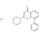 LY-294,002 hydrochloride (CAS 934389-88-5) - chemical structure image