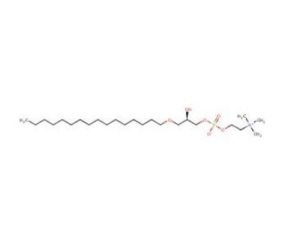 Lyso-PAF C-16 (CAS 52691-62-0) - chemical structure image